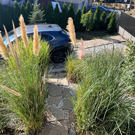 Ana - Charming Appartments Beograd